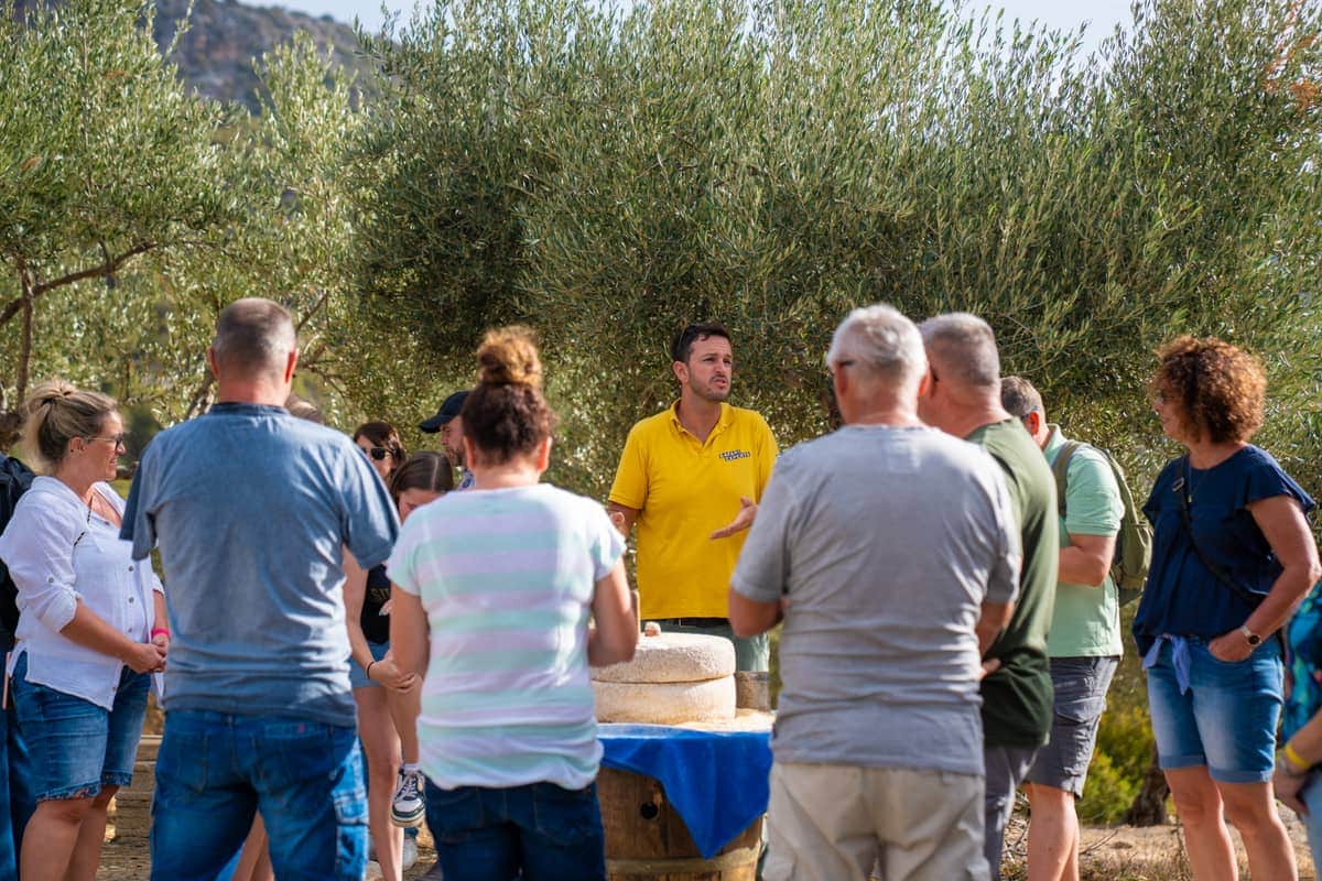 A guide talking to the group at an olive grove stop